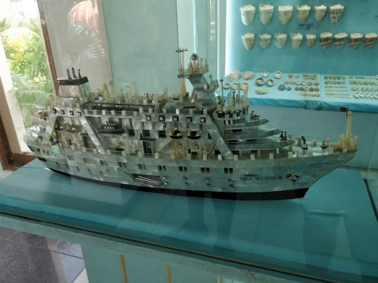 India Seashell Museum-3